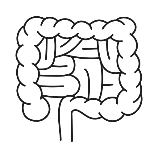 intestinos Generic black outline icono