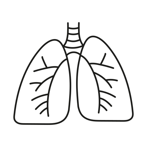 poumons Generic black outline Icône