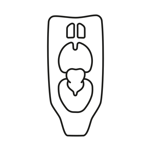 rachen Generic black outline icon