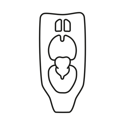 faringe Generic black outline icono