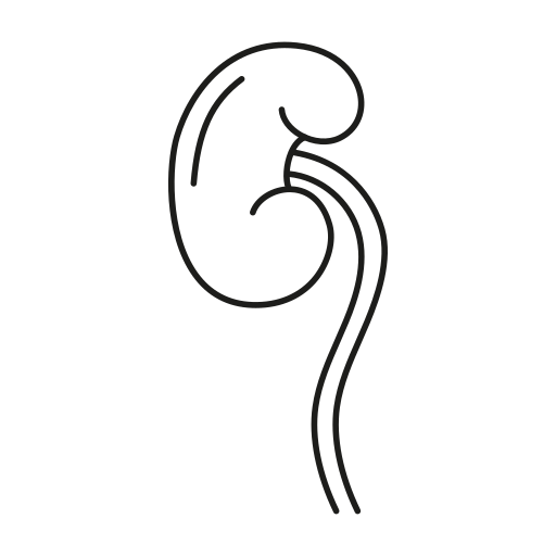 harnleiter Generic black outline icon