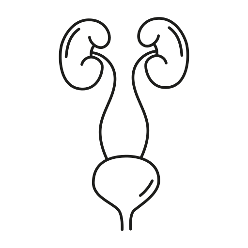 urin Generic black outline icon