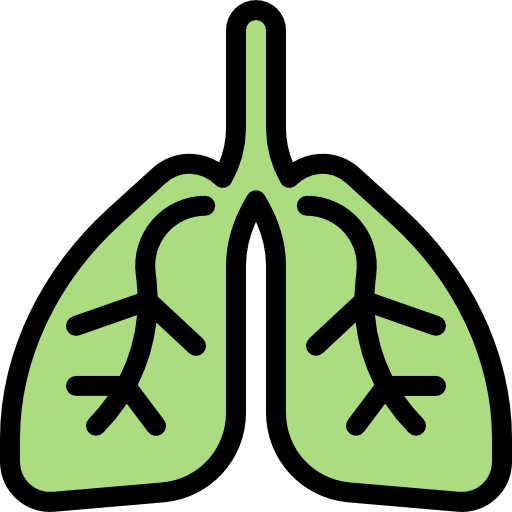 肺 Detailed Rounded Lineal color icon