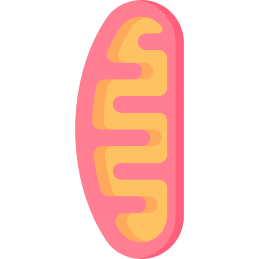 Mitochondria Special Flat icon