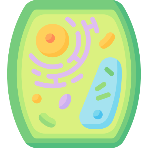 komórka roślinna Special Flat ikona