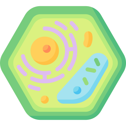 célula vegetal Special Flat icono