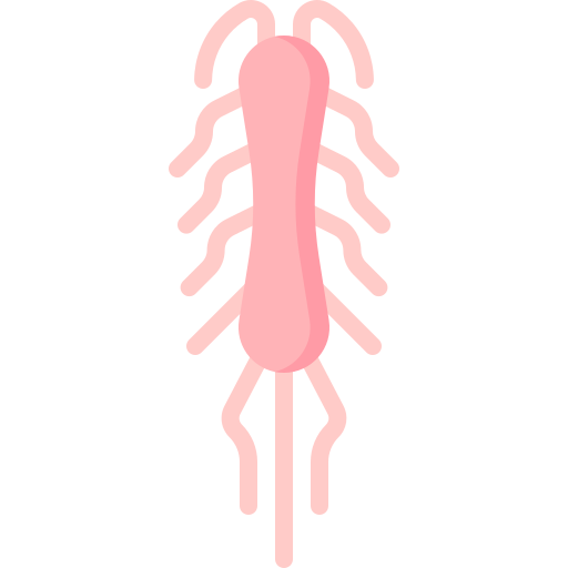 Salmonella typhi Special Flat icon