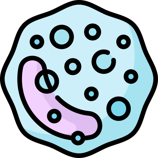 basophil Special Lineal color icon