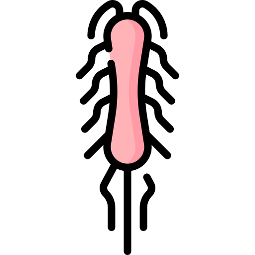 salmonella tifi Special Lineal color icona