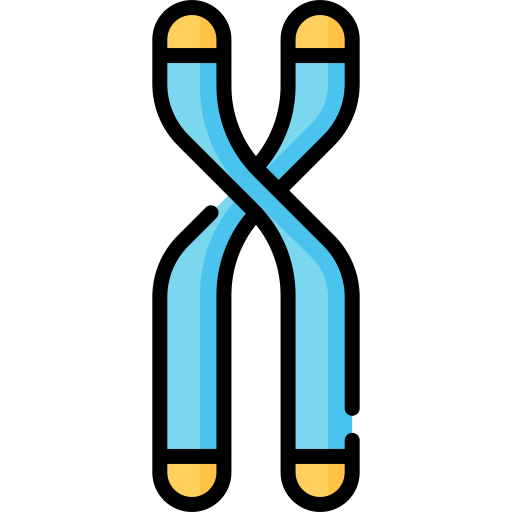 cromosoma Special Lineal color icono