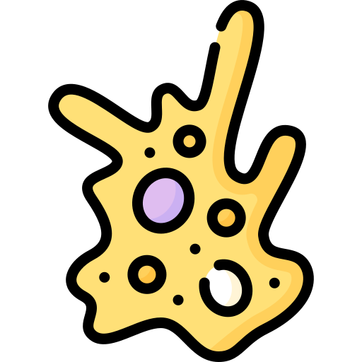 Amoeba Special Lineal color icon