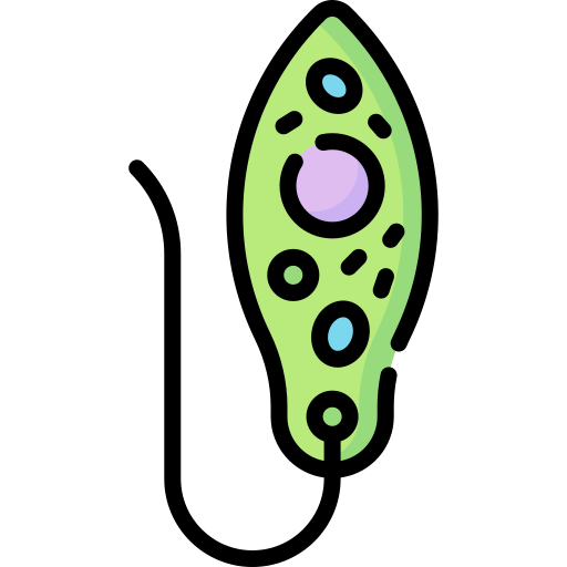 euglena Special Lineal color icono