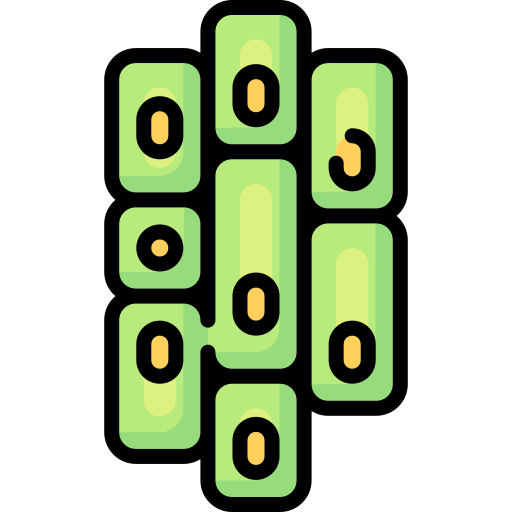 Plant cell Special Lineal color icon