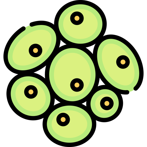 komórka roślinna Special Lineal color ikona