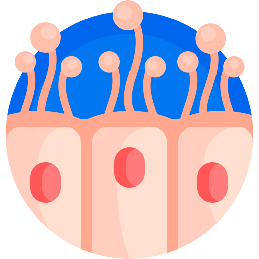 célula intestinal Detailed Flat Circular Flat icono