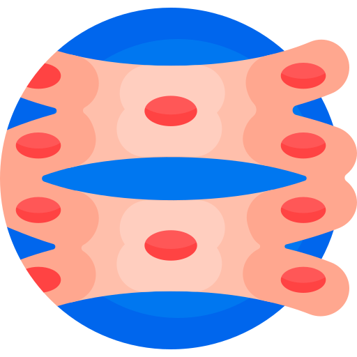 심장 세포 Detailed Flat Circular Flat icon