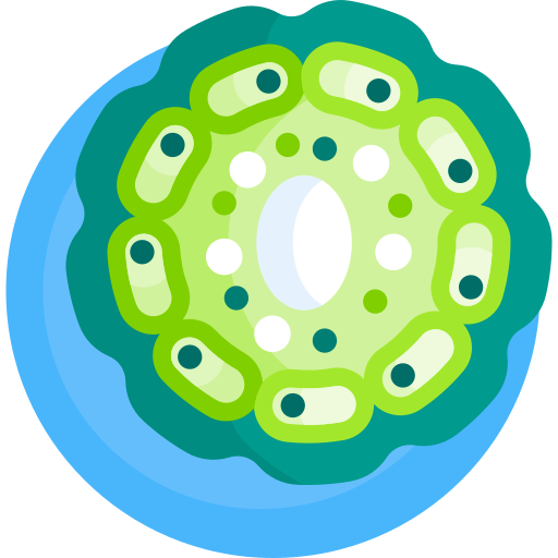 célula vegetal Detailed Flat Circular Flat icono