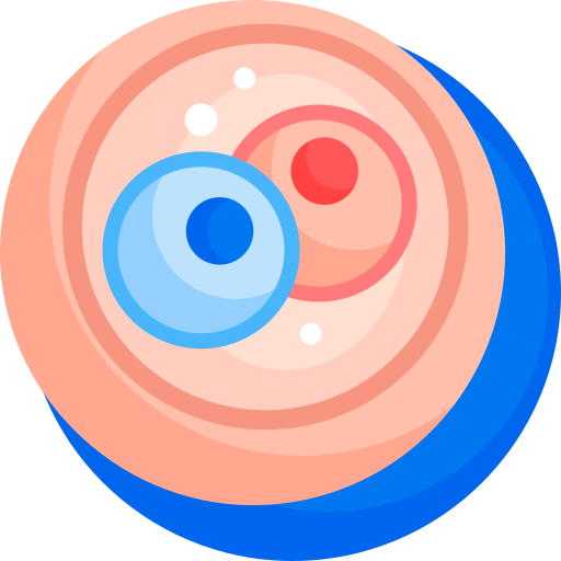 受精卵 Detailed Flat Circular Flat icon