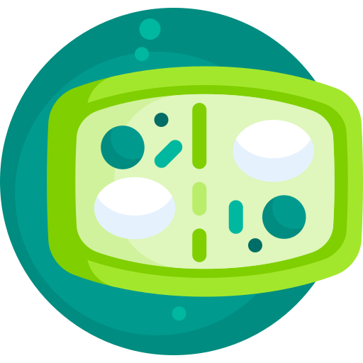 Растительная клетка Detailed Flat Circular Flat иконка