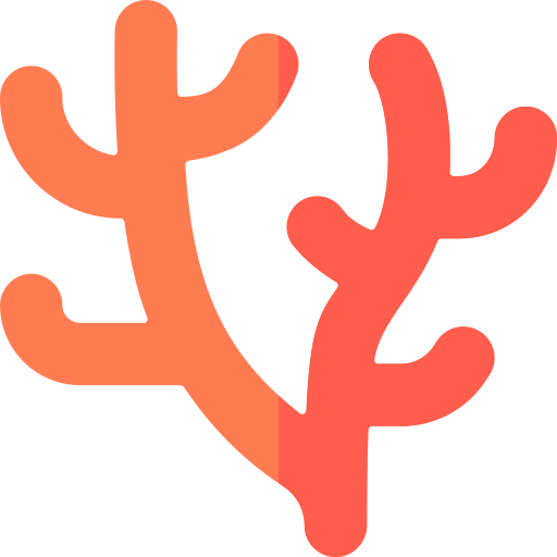산호 Basic Rounded Flat icon