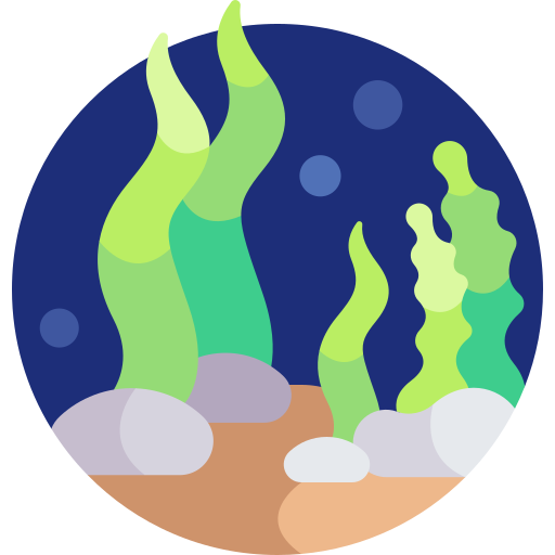 Seaweed Detailed Flat Circular Flat icon