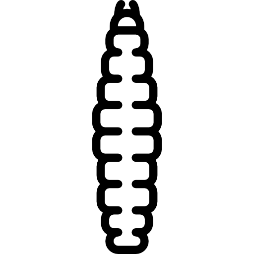 Caterpillar Special Lineal icon