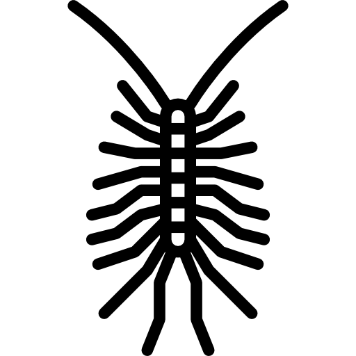 Centipede Special Lineal icon