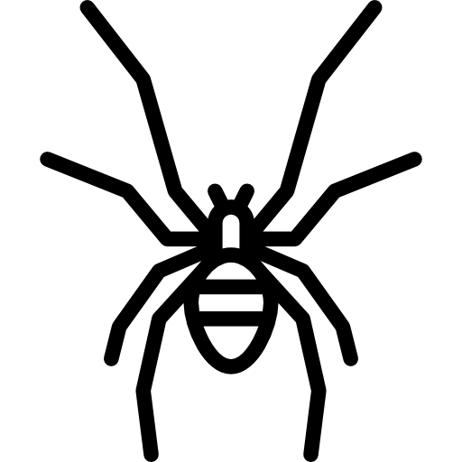 거미 Special Lineal icon