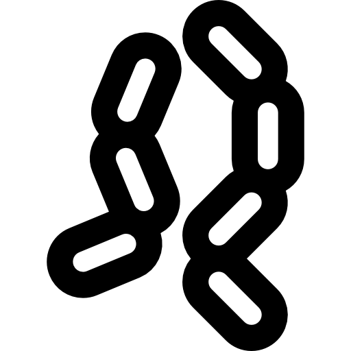 회충 Basic Rounded Lineal icon