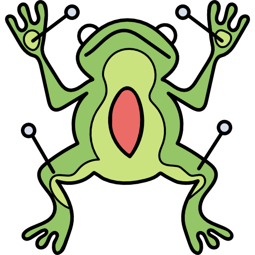 Frog Hand Drawn Color icon
