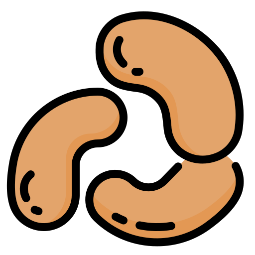 Cashew dDara Lineal Color icon