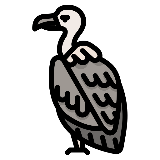 avvoltoio dDara Lineal Color icona