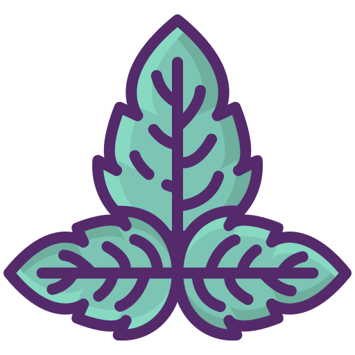 albahaca Flaticons Lineal Color icono
