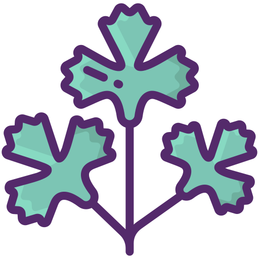 cilantro Flaticons Lineal Color icono