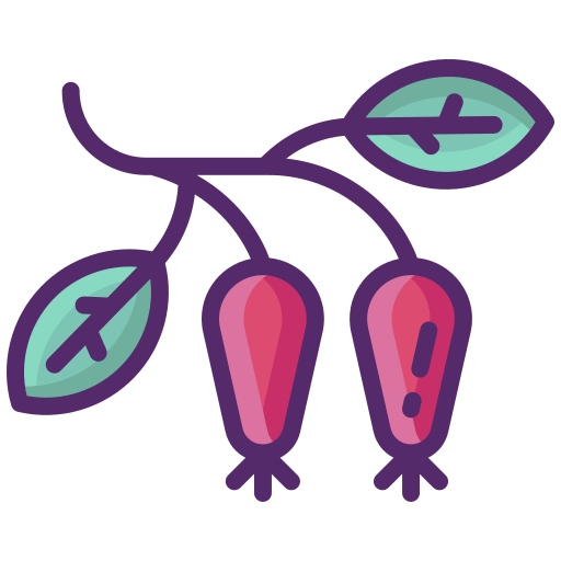 cynorrhodon Flaticons Lineal Color Icône