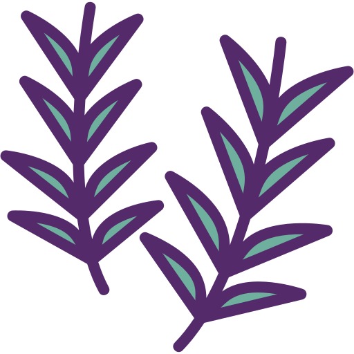 Rosemary Flaticons Lineal Color icon