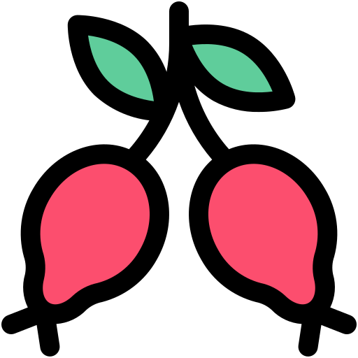 Rosehip Generic color lineal-color icon