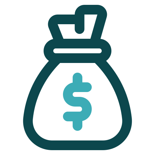 budget Generic color outline icon