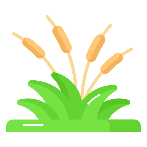 Reeds Generic color fill icon