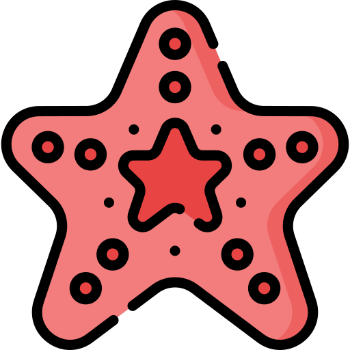 Starfish Special Lineal color icon