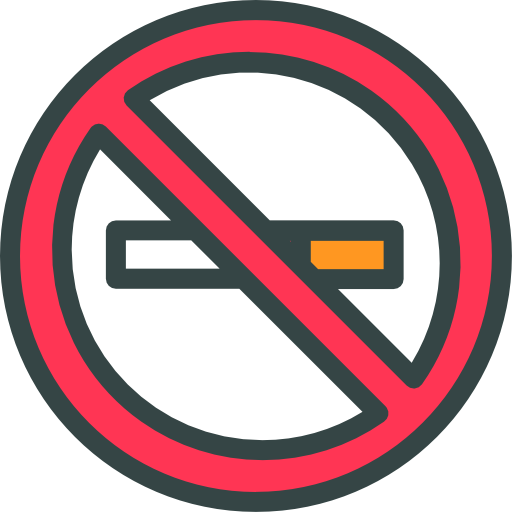 vietato fumare Good Ware Lineal Color icona