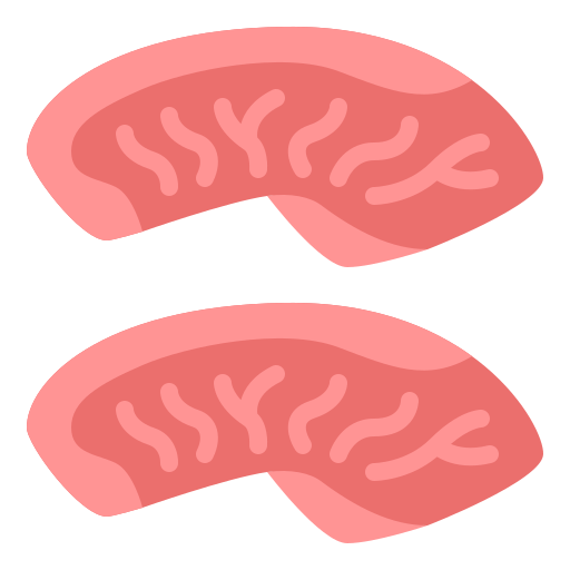 steaks Generic color fill icon