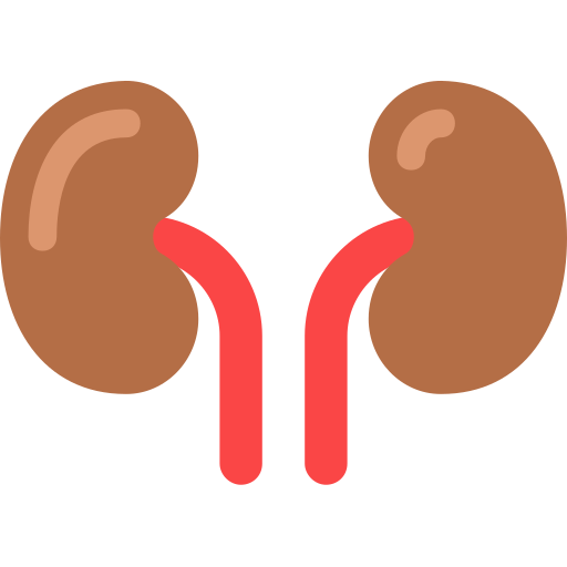 Kidney Generic color fill icon