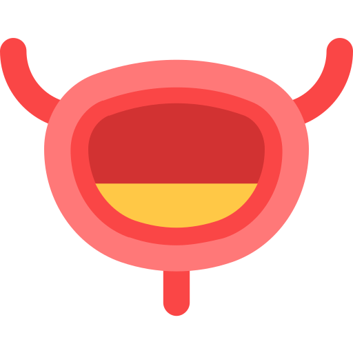 Bladder Generic color fill icon