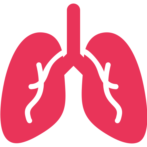 pulmões Generic color fill Ícone