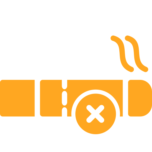 Smoking Generic color fill icon