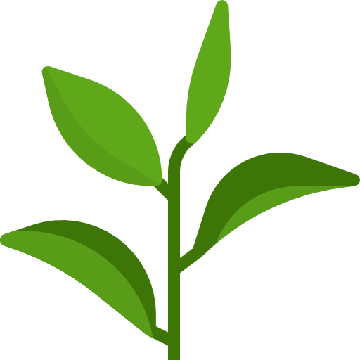緑茶 dDara Flat icon