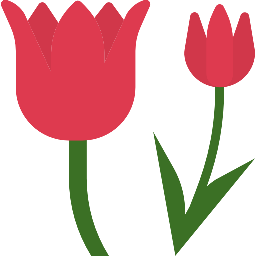 Tulip dDara Flat icon
