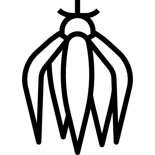 ylang ylang dDara Lineal icono