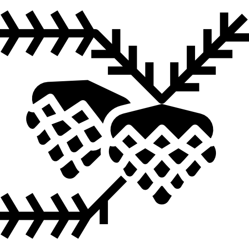 Сосновая шишка dDara Fill иконка
